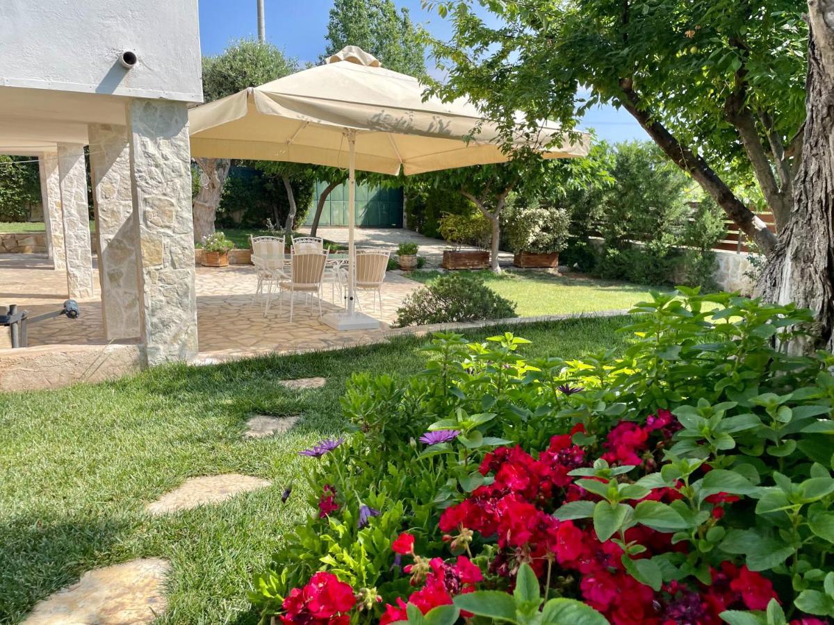 Apartment Near Airport And Beach Артемида Екстериор снимка